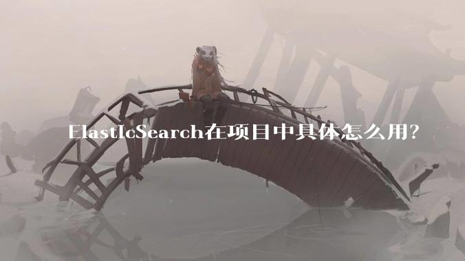 ElasticSearch在项目中具体怎么用？