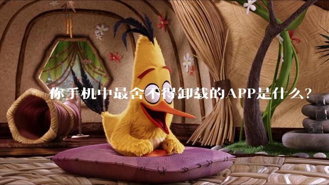 你手机中最舍不得卸载的APP是什么？
