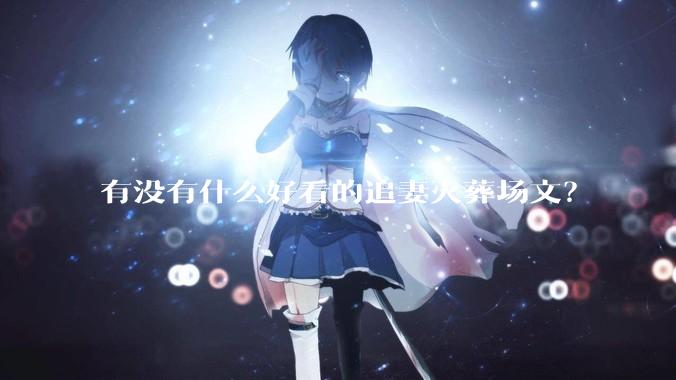 有没有什么好看的追妻火葬场文？