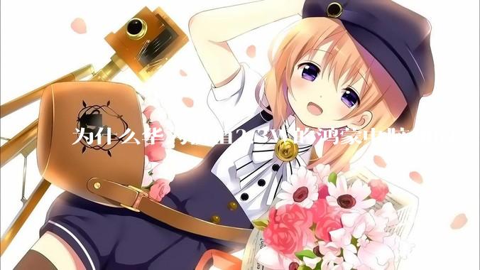 为什么华为价值2.3W的鸿蒙电脑用的是美国西数的SN740固态硬盘？