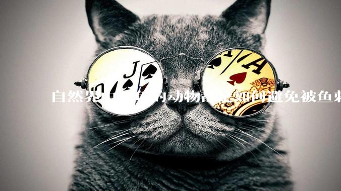 自然界中吃鱼的动物都是如何避免被鱼刺卡住的？