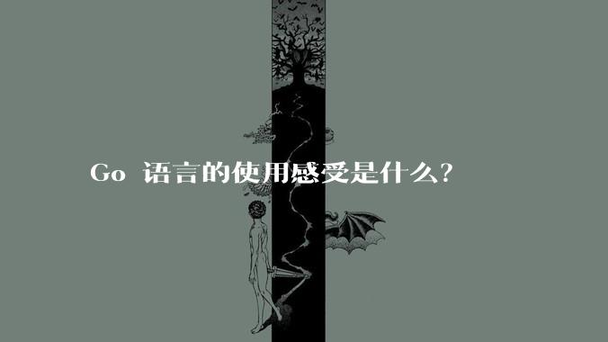 Go 语言的使用感受是什么？