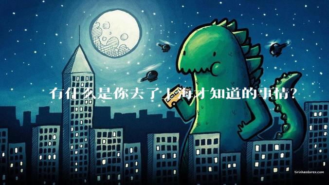 有什么是你去了上海才知道的事情？