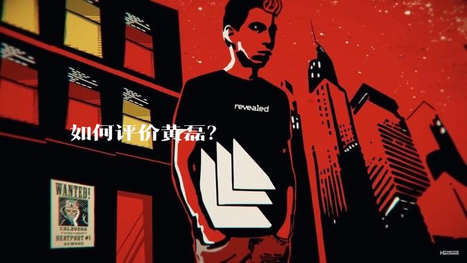 如何评价黄磊？