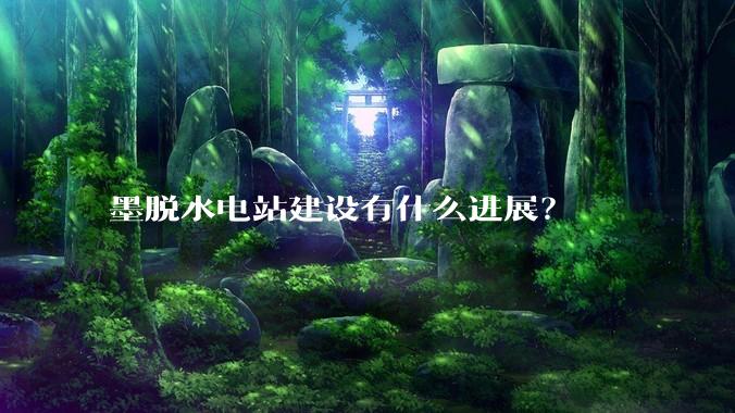 墨脱水电站建设有什么进展？