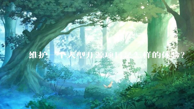 维护一个大型开源项目是怎样的体验？