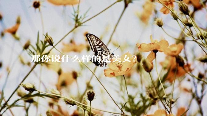 那你说什么样的是美女？