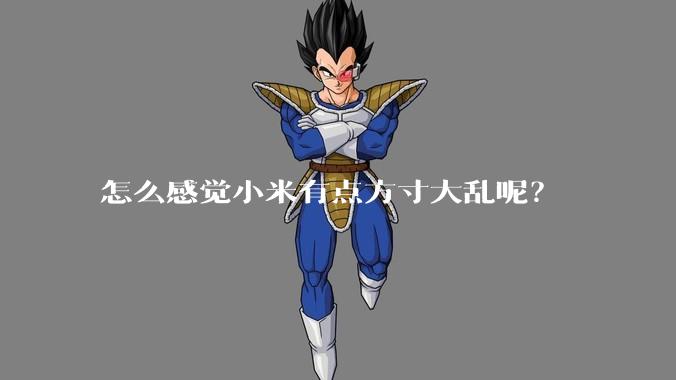 怎么感觉小米有点方寸大乱呢？