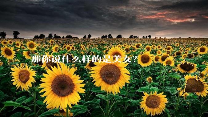 那你说什么样的是美女？