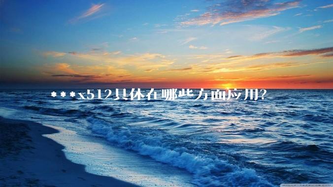 ***x512具体在哪些方面应用？