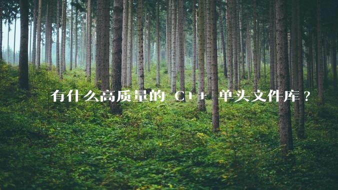 有什么高质量的 C++ 单头文件库?