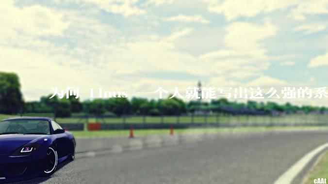 为何 Linus 一个人就能写出这么强的系统，中国却做不出来？