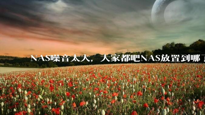 NAS噪音太大，大家都吧NAS放置到哪了？